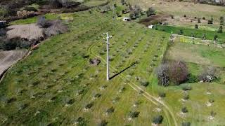 Quinta em Oliveira do Hospital, 22.242 m2