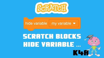Scratch blocks - hide variable ...