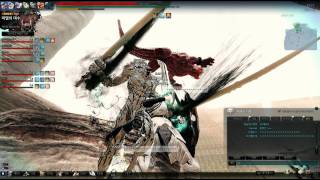 Mabinogi Heroes Bug