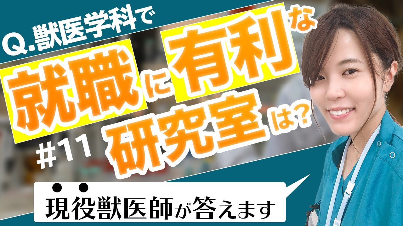 獣医学科で就職に有利な研究室ってあるの？ #11