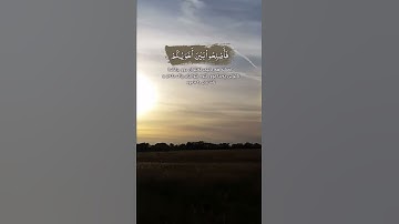 سورة الحجرات ئایەتی ١٠ بەتەفسیری کوردی، بەدەنگی هزاع البلوشي