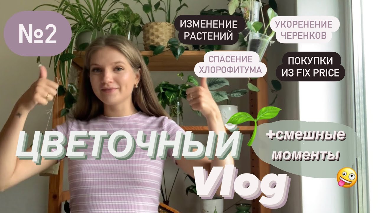 🌱 Обзор растений, спасение хлорофитума, покупки из Fix Price 🛍️ | Цветочный VLOG №2 | Июнь’23