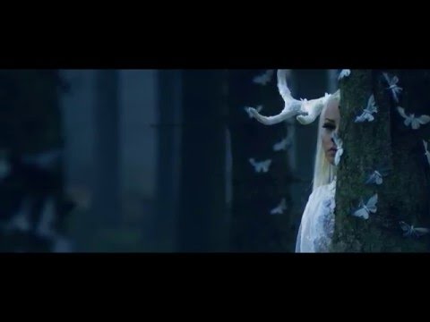 Feral Hearts - Teaser