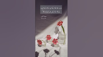 آية ٢٩ "ضرب الله مثلًا رجلًا فيه شركاء متشاكسون" من سورة الزمر