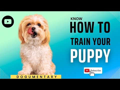 Video: 10 tipov, ktoré pomôžu váš bujný pes spolupracovať s inými mláďatami