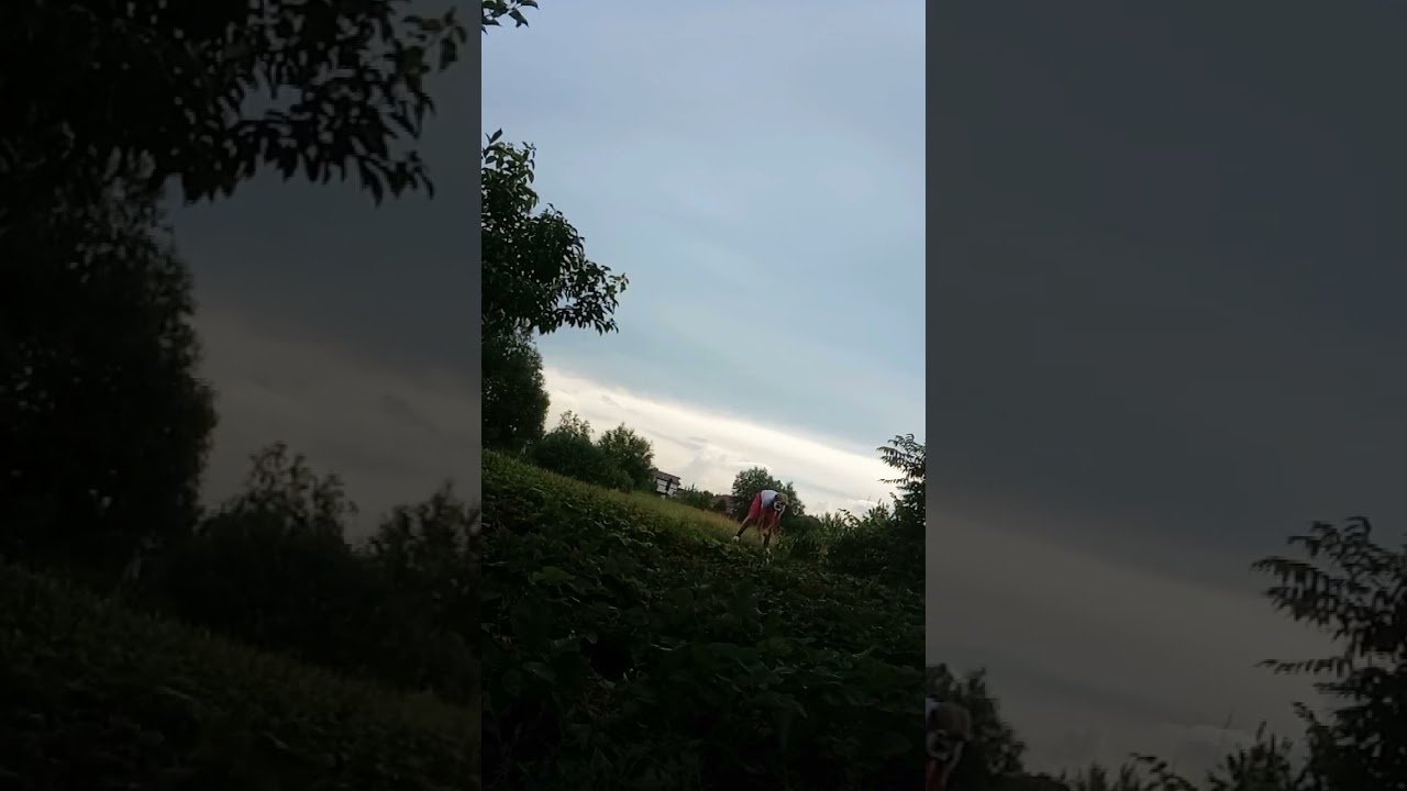 𝚌𝚊𝚝 𝚓𝚞𝚖𝚙 🥹 