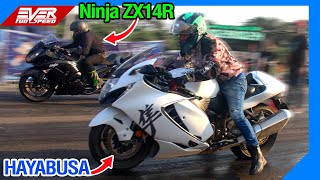 🚀Ninja ZX14R 🆚 HAYABUSA 🆚 Streetfigter V4 🆚 R1 🆚 CBR1000RR 🆚 S1000R 🆚 MT-10 🔥DRAG RACES Track Times