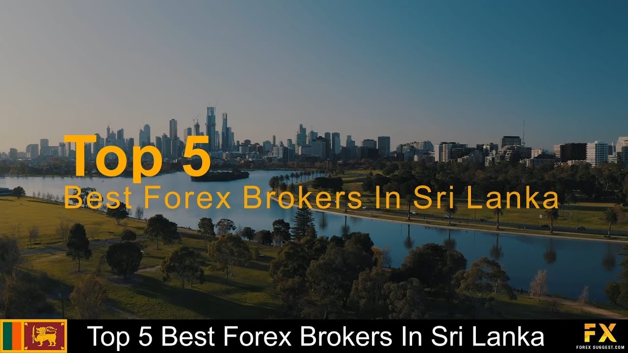 Best Forex Brokers In Sri Lanka📈 YouTube