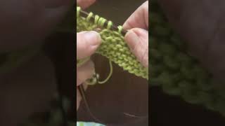 Famous 2 stitch Buttonhole Garter Stitch Profile