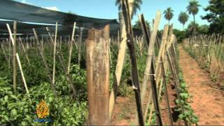 Paraguay farmers demand land reform