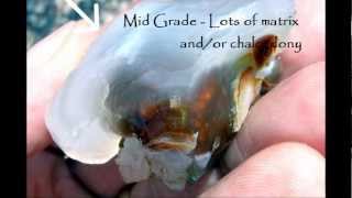 Famous Episode II - The World of Fire Agate Wealth