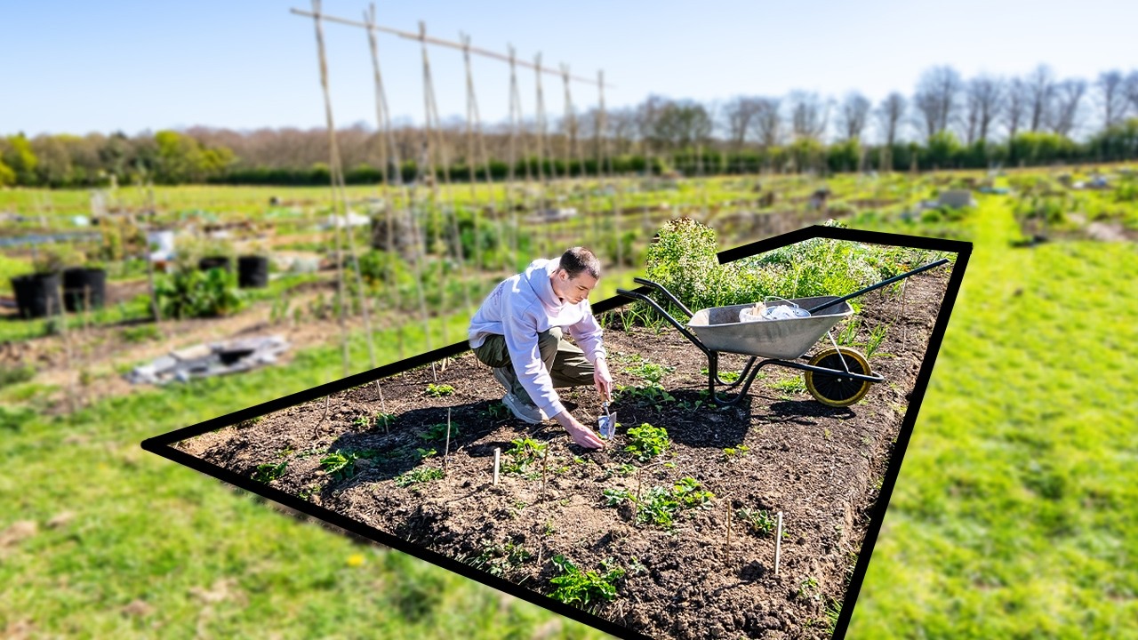 How much food can I grow in this patch? Ep 1 - Spring work, starting seeds and preparing the ground