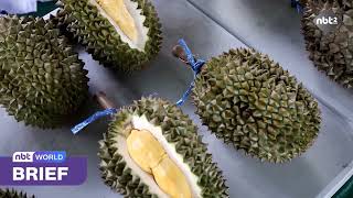 KOH CHANG GI DURIAN CONTEST SHOWCASES LOCAL QUALITY