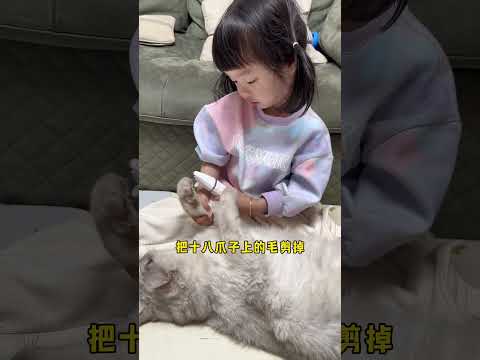 娃和猫的掌印在一起也太可爱了吧！🐱🐾#cat #catandbaby #shorts