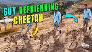 Guy Walking Next to a Cheetah by Holding Its Tail