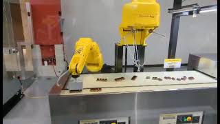 Fanuc Conveyor Product Alignment