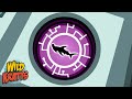 Hammerhead Shark Power Suit Quiz
