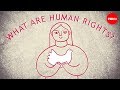 What are the universal human rights  benedetta berti