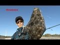 MEGABASS MOVIE #168 サーフシーズン到来! HALIBUT90でヒラメ連発!!