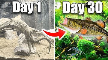 Simulatie van een 400 gallon rivier (met roofvissen)