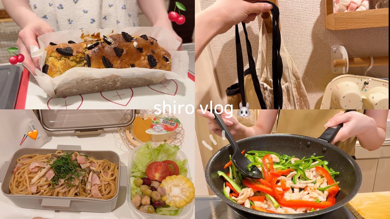 ［食費月一万円］一人暮らし社会人の節約を楽しむ自炊記録🍳✨ / 毎日お弁当🍙