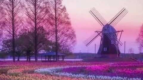 سوره الرعد بصوت القارئ الشيخ احمد النفيس تلاوه رائعه