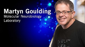 From Then to When | Meet Salk Scientists | Martyn Goulding