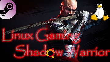 Linux Gaming : Shadow Warrior (Native)