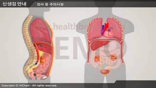 [Demo] b0021aako Renal Biopsy (Kidney Tissue Exam) Guide