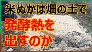 【実験動画】米ぬかは畑の土で発酵熱を出すのか