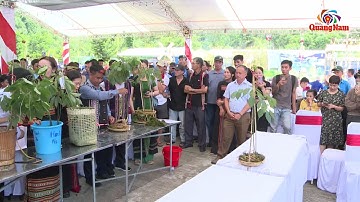 Sôi nổi Lễ hội sâm Ngọc Linh lần thứ VI năm 2024