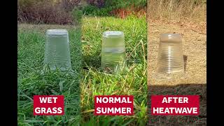 Scientist explains why heavy rainfall after a drought can be so dangerous