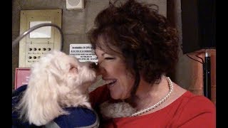 2018 ASPCA Humane Awards by Petful on YouTube 295 views 5 years ago 3 minutes, 1 second