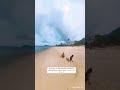 Looking for the ghost ship of Thailand | Koh Chang Thailand 🇹🇭