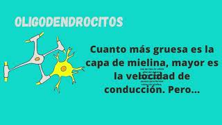 220. OLIGODENDROCITOS Y MIELINA, IMPORTANCIA PARA EL APRENDIZAJE. Lucía del Sol Rubio. 220. OLIGODENDROCITOS Y MIELINA, IMPORTANCIA PARA EL APRENDIZAJE. Lucía del Sol Rubio.