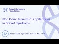 Non Convulsive Status Epilepticus in Dravet Syndrome