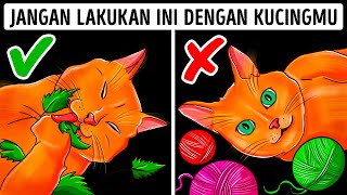 26 Kesalahan Berbahaya yang Masih Dilakukan Pemilik Kucing