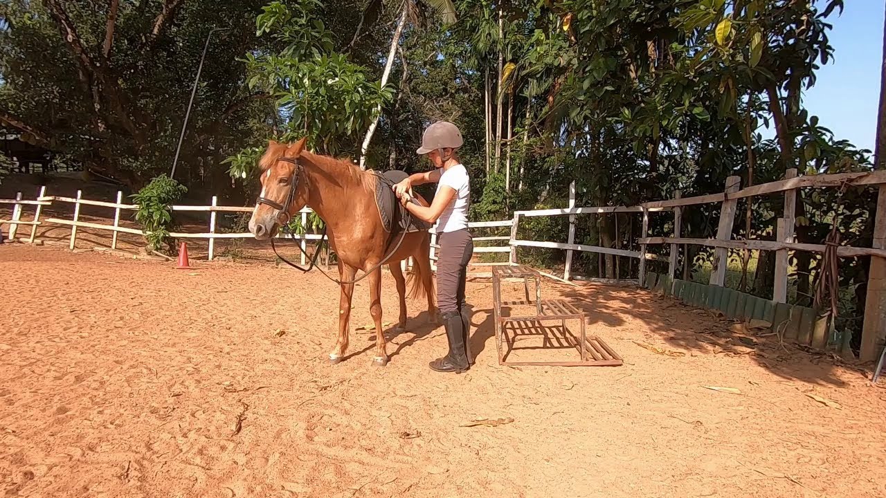 How to Mount a Horse, Sinhala YouTube