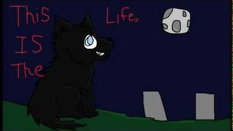 When You’re Evil OC PMV MAP Part 20 for Crystal x Luke