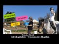 Entrainement du cavalier   4   le parcours dequifun   touraine cheval  spcial enfants