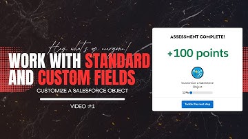 Work with Standard and Custom Fields | Customize a Salesforce Object Project Salesforce Trailhead