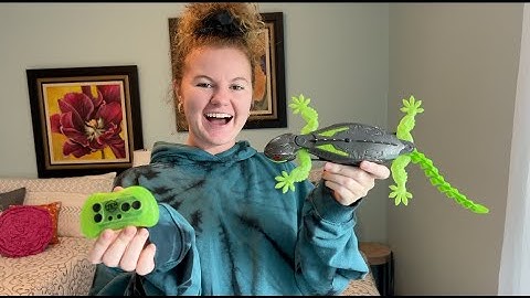 How to use the Hex Bots Wall Crawler Gecko