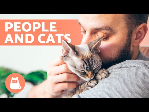 Cat Human Relationship 🐱 Types of BONDS With CATS
