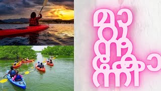 Kayakking | Konni Tourism Gramam | കോന്നിയുടെ മാറുന്ന മുഖം | Adavi