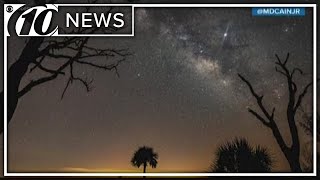 See the stars in the sky at Kissimmee Prairie Preserve State Park