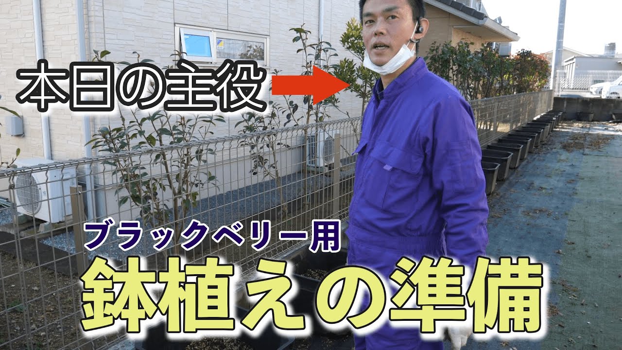 【畑開墾　#4】ブラックベリーを植えるための鉢を準備【農園編集部】