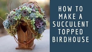 How to Make a Succulent Topped Birdhouse // Garden Answer