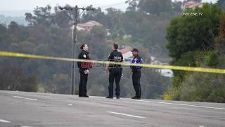 Fatal Hit Run Oceanside CA