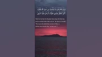 Al-Furqaan | سورة الفرقان | The Criterion