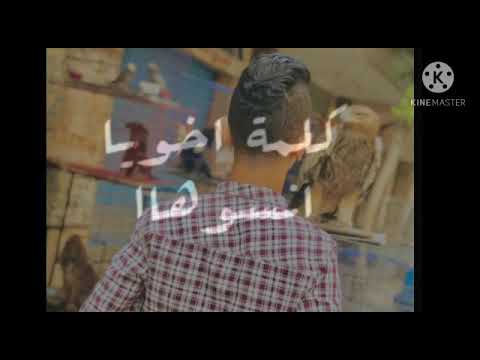 يالي انتو قطعتوها ومعايا حزبتوها الصقر يهجم